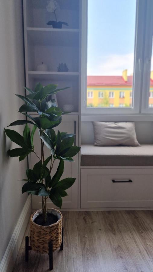 Apartamento Alfama Garden Grudziądz Exterior foto